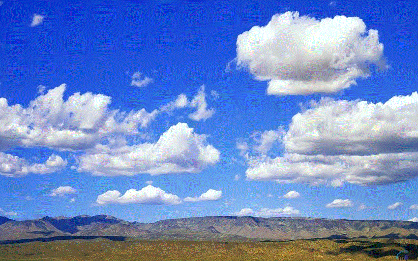 старатель